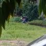 Viral Sejoli Berantem Hebat sampai 'Smackdown' di Pinggir Jalan, Ibu-ibu Cuek Lewat Auto Curi Fokus