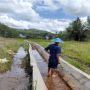 Program RJIT Kementan Berhasil Tingkatkan Produktivitas Pertanian di Melawi Kalimantan Barat