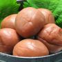 Mengenal Umeboshi: Asinan Kering Asal Jepang