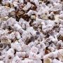 Indonesia Bersama Amerika Umumkan Kemitraan untuk Kurangi Limbah Plastik