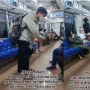 Viral Pria Bagikan Kurma ke Penumpang KRL, Jalan dari Gerbong Depan hingga Belakang saat Buka Puasa, Banjir Pujian