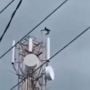 Viral Pemuda Ini Tidak Mau Turun dari Tower Listrik Jika Tidak Disuruh Ayang, Warganet: Cinta Tak Selamanya Indah Bang