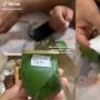 Beli Menu Angkringan untuk Buka Puasa, Wanita Ini Syok Pas Lihat Porsi Nasi Kucing: Lambungnya Geli