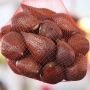 5 Cara Memilih Salak yang Manis, Bisa Dicek dari Kulit sampai Aromanya