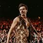 Debut di Festival Film Toronto Lewat "My Policeman", Harry Styles Dapat Tepuk Tangan Meriah