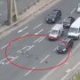 Viral Puluhan Pemobil Rela Hentikan Kendaraan Demi Beri Jalan Hewan Ini untuk Menyeberang, Salut!