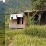 Rumah Mirip Gubuk Tengah Sawah Ini Punya Bagian Dalam yang Bikin Betah Tinggal: 'Adem'