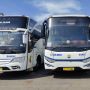 Jadwal Damri Bandara YIA Lengkap, Cek Jam Keberangkatan dan Tarif Selama Libur Natal dan Tahun Baru 2024