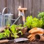 Mau Dapat Penghasilan Tambahan dari Berkebun? Pilih 7 Jenis Tanaman Ini!
