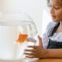 Siswa Asal Malang Berhasil Bikin Smart Aquarium