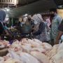Pasti Aman! Pemkab Pekalongan Jamin Ketersediaan Pangan hingga Lebaran