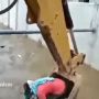 Viral Aksi Heroik Tukang Bangunan Selamatkan Seekor Anjing Terseret Arus, Warganet Salut!