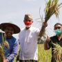 Pamer Foto Panen Padi Bareng Petani Blitar, Ganjar Pranowo dapat Kritikan dari Warganet: Ada Kepentingan Apa Pak?