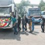 Sopir Bus AKAP Senang Akhirnya Ada Mudik Lagi