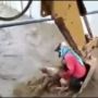 Video Viral Aksi Heroik Pria Tangkap Anjing Naik Excavator Panen Pujian Warganet