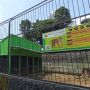 Dua Kali Memakan Korban, Serulingmas Zoo Diusulkan Tiadakan Hewan Buas