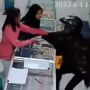 Seorang Pria Mau Bawa Kabur Kardus Isi HP Baru di Konter, Aksi Heroik Karyawan Wanita Tuai Pujian: THR Dobel!