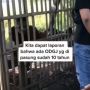 Viral ODGJ Dipasung 10 Tahun di Tengah Sawah karena Suka Bakar Rumah Warga, Kondisinya Menyayat Hati