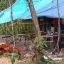 Penambang Batu Bara di Lebak Tewas di Lubang Galian, Tertimpa Longsor