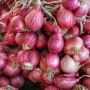 Petani di Gayo Lues Mulai Tersenyum, Harga Bawang Merah Tembus Segini
