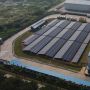 Demi Hindari Pencuri Panel Surya, Petani India Ciptakan Inovasi untuk Irigasi Sawah