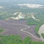 Dugaan Perusakan Mangrove di Kariangau, Rahmad Mas'ud Akui Sudah Terima Laporan