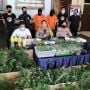 Apartemen di Kawasan Boulevard Jadi Tempat Menanam Ganja, Pakai Sistem Hidroponik