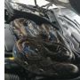 Ngeri! Servis Sensor Mobil Mekanik Bengkel Malah Temukan Ular Piton Besar
