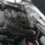 Niat Ingin Servis ke Bengkel, Pria Ini Temukan Ular Piton Besar di Kap Mobil