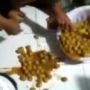 Viral Video Cara Sajikan Makanan untuk Para Santri Jadi Sorotan Publik: Ajaran Apalagi Ini Woi