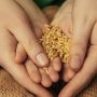 Zakat Fitrah Anak yang Orang Tuanya Bercerai, Seperti Apa Ketentuannya?