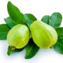4 Manfaat Daun Jambu Biji bagi Kesehatan Rambut, Mengurangi Rambut Lepek!