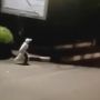Geger Pemuda Pura-Pura Jadi Pocong Demi Takuti Pengguna Jalan, Aksinya Banjir Kecaman Warganet