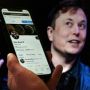 Pimpinan Produsen Mobil Listrik Jadi Pemilik Twitter, Elon Musk Segera Berantas Akun Palsu