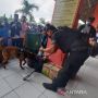 Cegah Penyelundupan Narkoba, BNN Terjunkan Tim K9 Cek Barang Pemudik di Terminal Kampung Rambutan