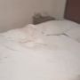 Video Viral Petugas Kebersihan Hotel Bengong Lihat Kondisi Kamar, Publik: Fix Habis Hardcore
