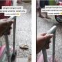 Bukan Naik Mobil atau Motor, Pemudik Ini Bagikan Momen Berangkat Mudik ke Rumah Orang Tua Cuma Makan Waktu 1 Detik Saja