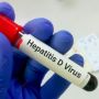 Soal Temuan Hepatitis Akut Misterius, Dinkes DKI: Ini Seperti Penyakit Baru, Masih Pendalaman