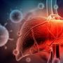Hepatitis Akut Menyerang Dunia, Pemerintah Didesak Buat Protokol Demi Cegah Korban Jiwa