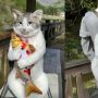 Viral Tas Mirip Kucing Betulan Seharga Rp15 Juta, Bentuknya Super Menggemaskan!