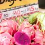 Manfaat Kulit Buah Naga yang Jarang Diperhatikan, Jangan Langsung Dibuang