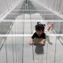 Memacu Adrenalin di Jembatan Kaca Bach Long Vietnam
