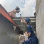 Teror Tawon Vespa Bikin 'Ketar-ketir' Warga Gresik, Enam Petugas Turun Tangan Evakuasi Sarangnya