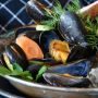 Mengandung Protein, 3 Cara Aman Mengolah Kerang untuk Ibu Hamil