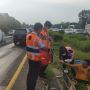 Mobil Pick Up Terguling di Tol Tangerang - Merak, Ribuan Ikan Lele Berhamburan, Polisi Jelaskan Penyebabnya