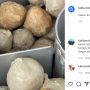 Beli Bakso Pentol, Warganet Ini Temukan Belatung Hidup