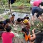 Gubuk Mendadak Ambles saat Santap Makan Bersama, Gerombolan Bapak-bapak Berakhir Nyemplung ke Empang Bareng