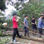 Diguyur Hujan Deras, Pohon Besar di Rangkasbitung Lebak Tumbang