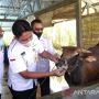 Minta Pemerintah Serius Tangani Penyakit Mulut dan Kuku, Gerindra: Ganti Kerugian Petani yang Sapinya kena PMK