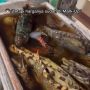Soal Harga Ikan Mahal di Pasar Kedonganan yang Viral, Begini Penjelasan Bendesa Adat